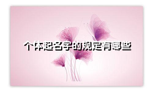个体起名字的规定有哪些