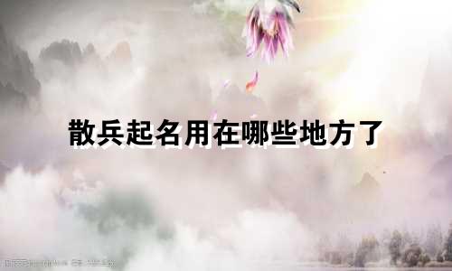 散兵起名用在哪些地方了