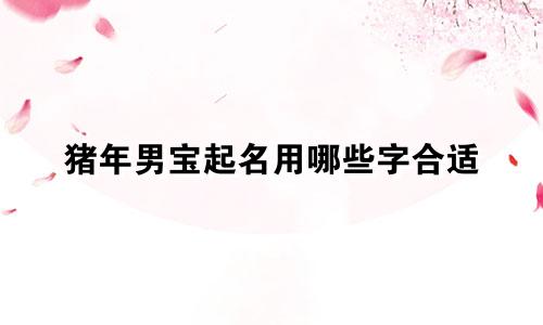 猪年男宝起名用哪些字合适