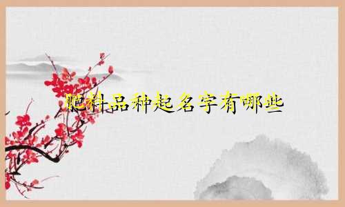肥料品种起名字有哪些