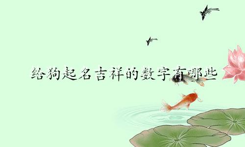 给狗起名吉祥的数字有哪些