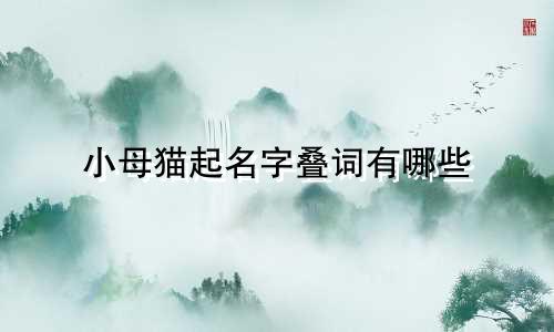 小母猫起名字叠词有哪些