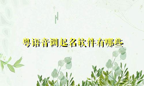粤语音调起名软件有哪些