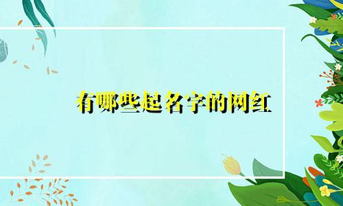 有哪些起名字的网红