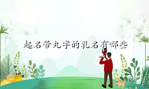 起名带丸字的乳名有哪些