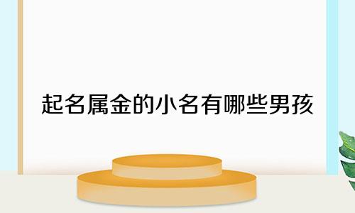 起名属金的小名有哪些男孩