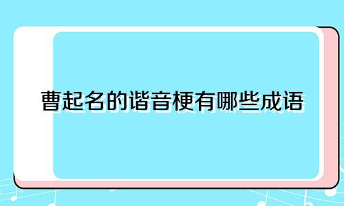 曹起名的谐音梗有哪些成语