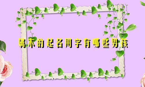 属木的起名用字有哪些男孩