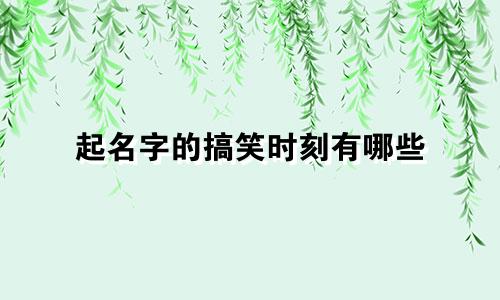 起名字的搞笑时刻有哪些