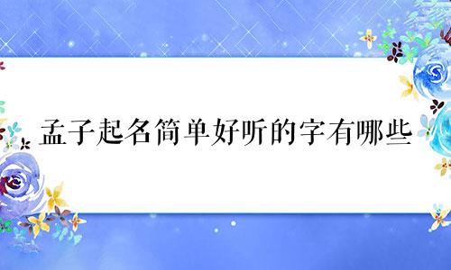 孟子起名简单好听的字有哪些