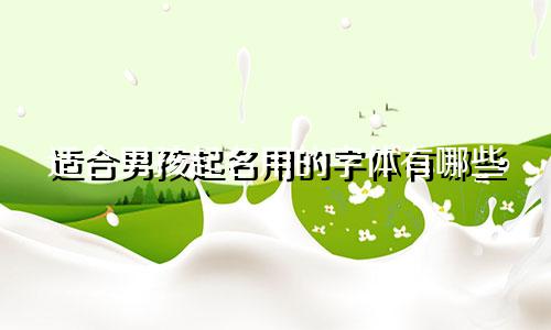 适合男孩起名用的字体有哪些