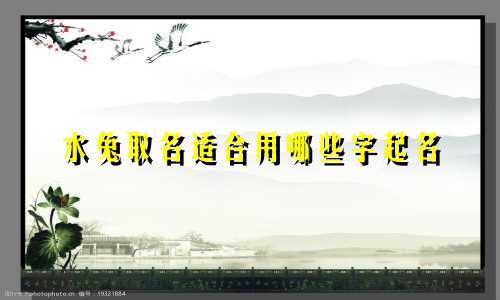 水兔取名适合用哪些字起名