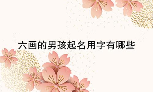 六画的男孩起名用字有哪些