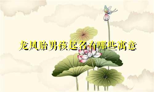 龙凤胎男孩起名有哪些寓意