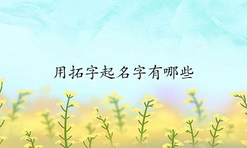 用拓字起名字有哪些
