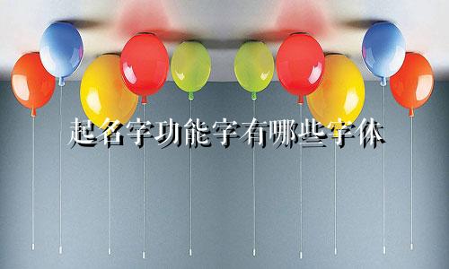 起名字功能字有哪些字体