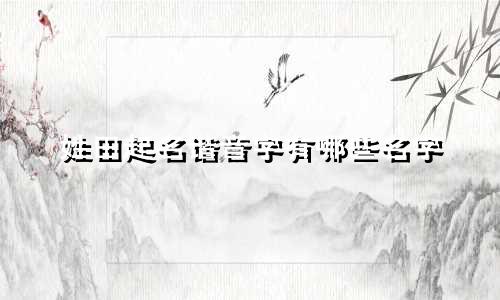 姓田起名谐音字有哪些名字