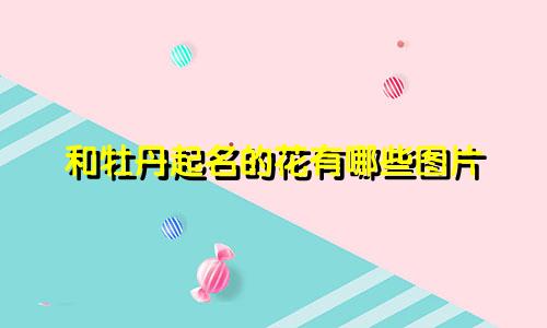 和牡丹起名的花有哪些图片