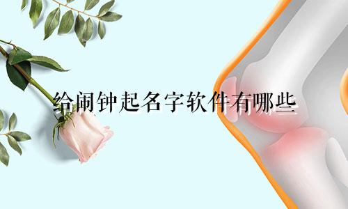 给闹钟起名字软件有哪些