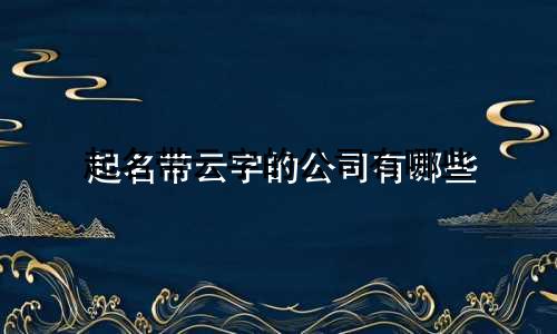 起名带云字的公司有哪些