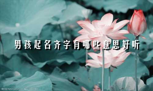 男孩起名齐字有哪些意思好听