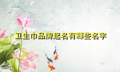 卫生巾品牌起名有哪些名字