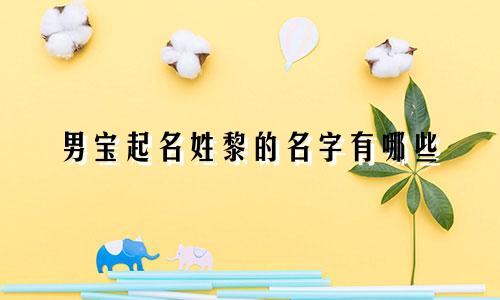 男宝起名姓黎的名字有哪些