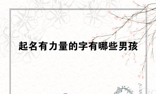 起名有力量的字有哪些男孩