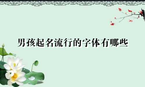 男孩起名流行的字体有哪些
