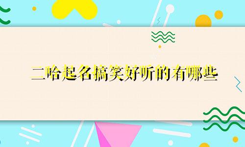 二哈起名搞笑好听的有哪些