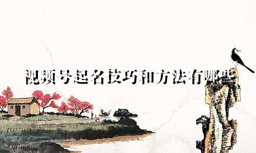 视频号起名技巧和方法有哪些