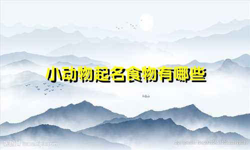 小动物起名食物有哪些