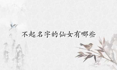 不起名字的仙女有哪些