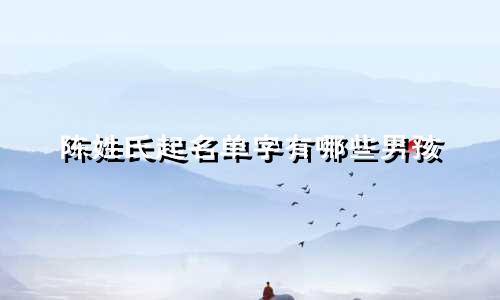 陈姓氏起名单字有哪些男孩