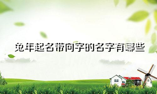 兔年起名带向字的名字有哪些