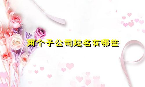 两个子公司起名有哪些
