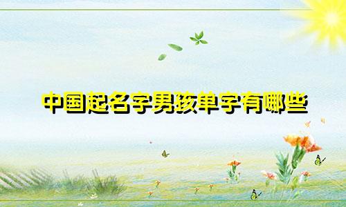 中国起名字男孩单字有哪些