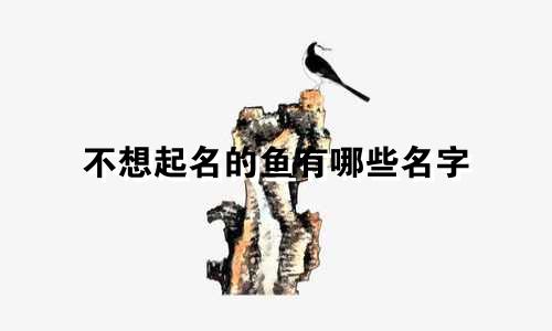 不想起名的鱼有哪些名字