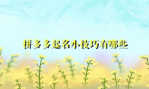 拼多多起名小技巧有哪些