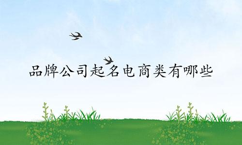 品牌公司起名电商类有哪些
