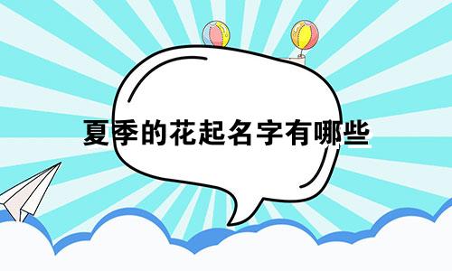 夏季的花起名字有哪些