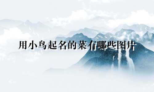用小鸟起名的菜有哪些图片
