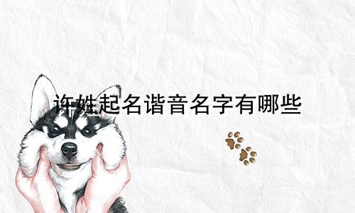 许姓起名谐音名字有哪些