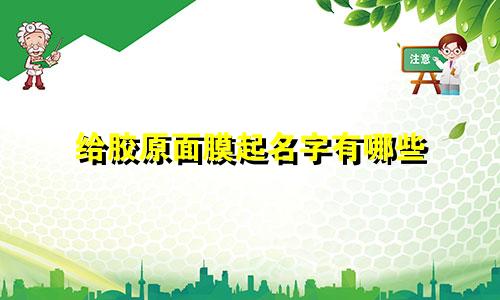 给胶原面膜起名字有哪些