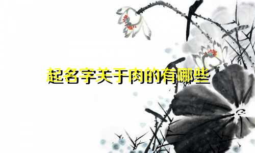 起名字关于肉的有哪些