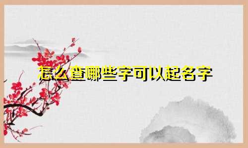 怎么查哪些字可以起名字