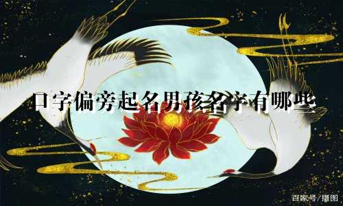 口字偏旁起名男孩名字有哪些
