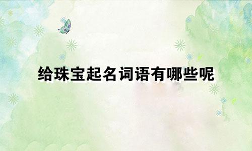 给珠宝起名词语有哪些呢