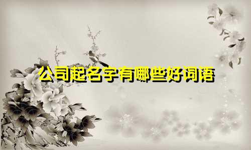 公司起名字有哪些好词语