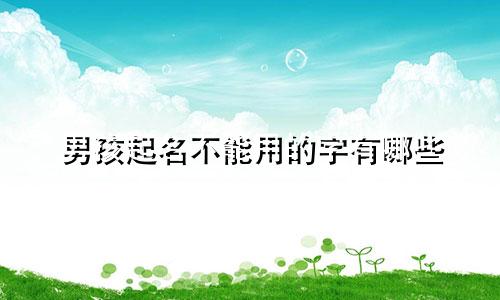 男孩起名不能用的字有哪些